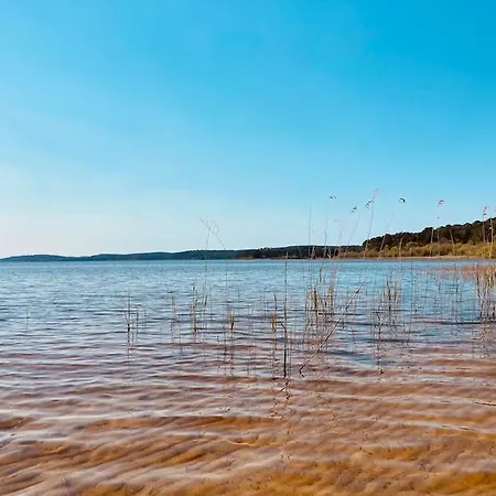 Agreable Maison Lac De Cazaux Avec Piscine Сasa de vacaciones La Teste-de-Buch